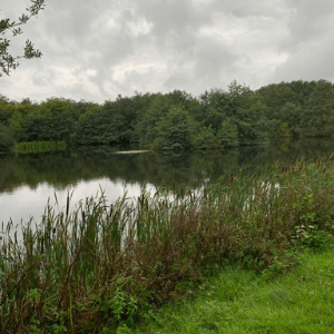 Lake which contains the lake collector heat pump system