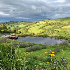Farmers Welsh Lavender Pond