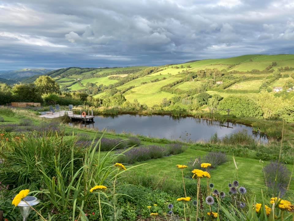 Landscape, gardens and pond at Farmers' Welsh Lavender near Brecon